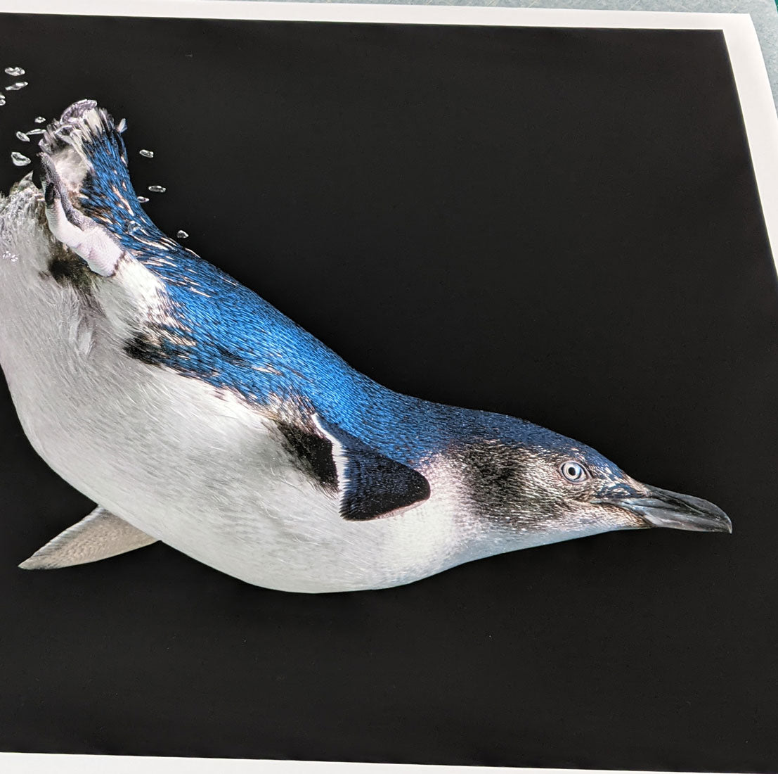 Cotton rag matte paper wildlife print