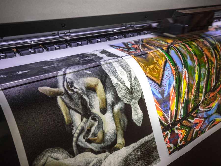 Large format canvas printing with Epson featuring wallaby artwork