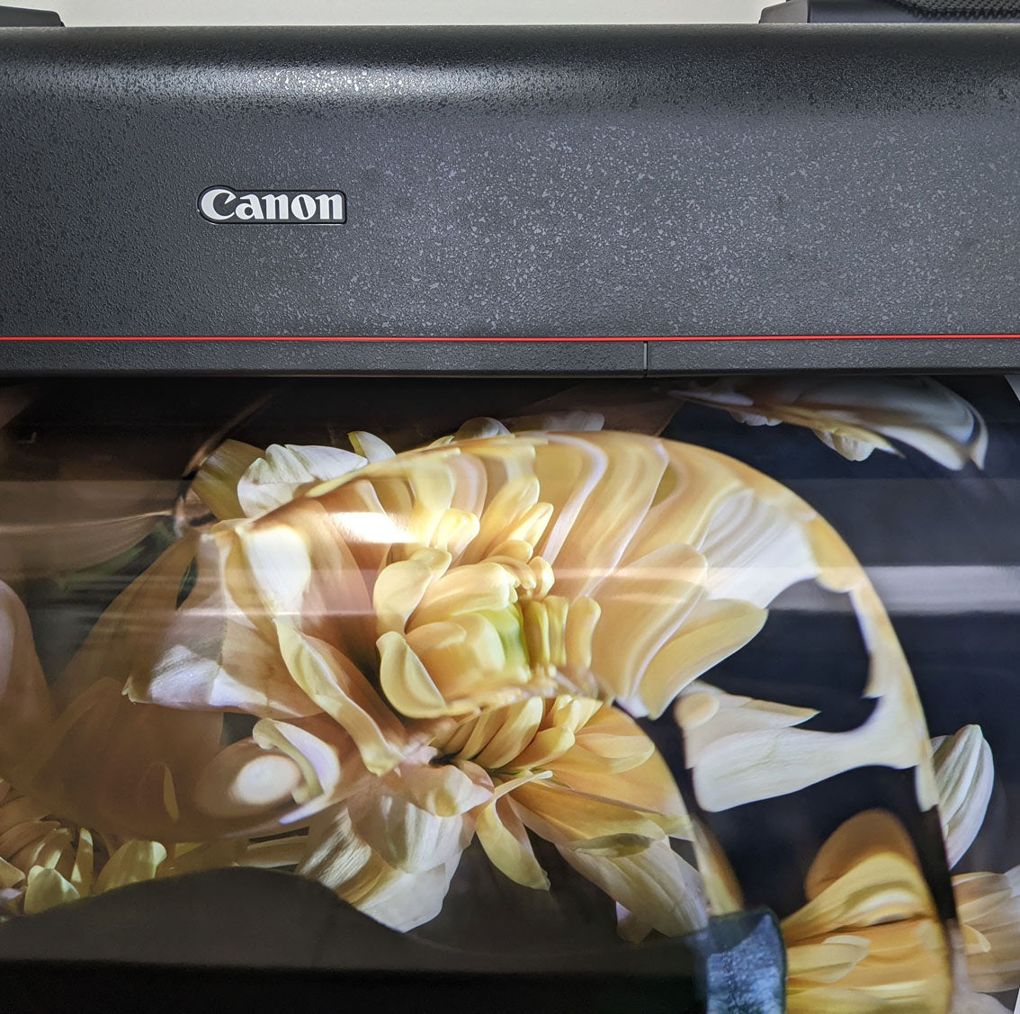 A metallic paper print coming out of Canon 4100 printer