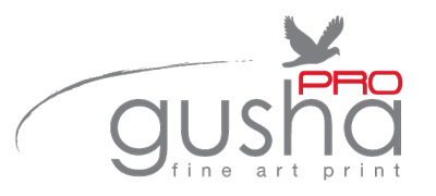 GushaPro