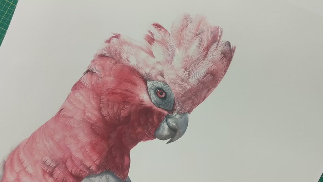 Video Banner of Art Paper Print Examples